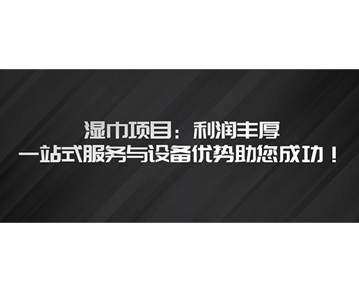 濕巾項(xiàng)目：利潤(rùn)豐厚，一站式服務(wù)與設(shè)備優(yōu)勢(shì)助您成功！